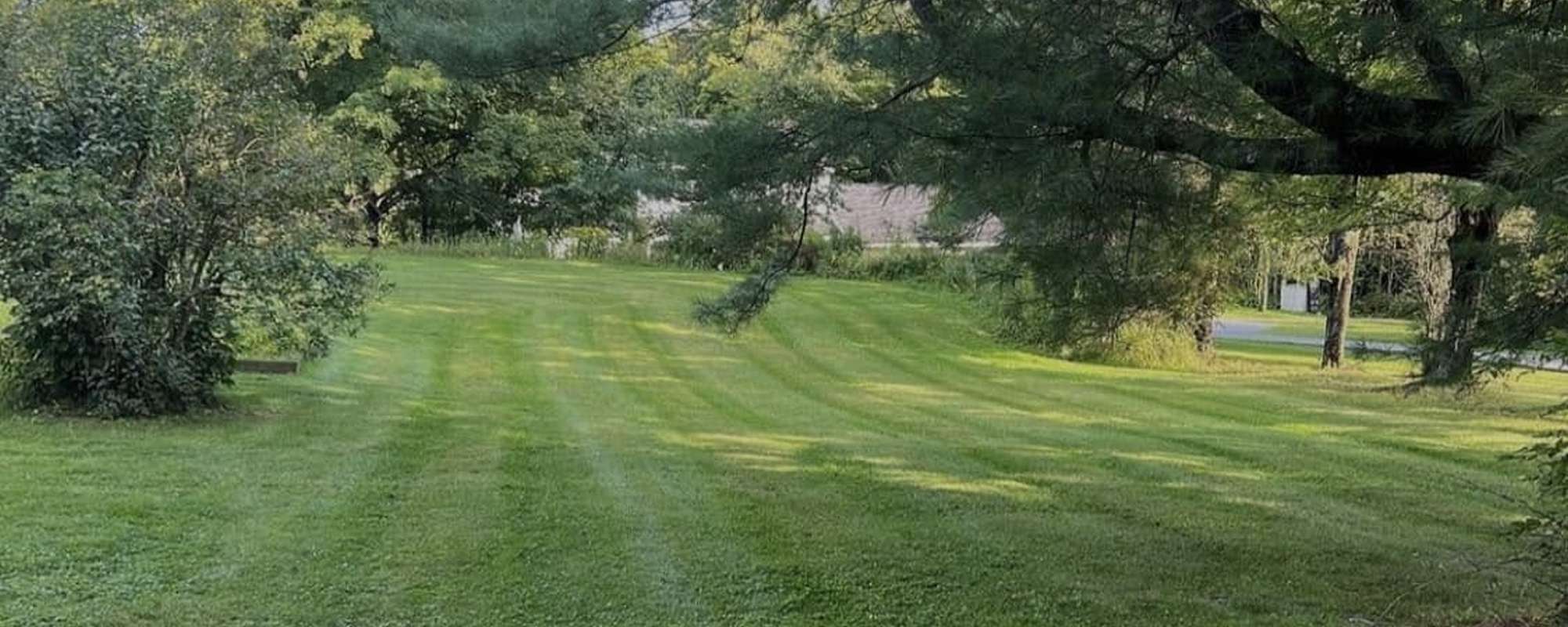 lawn-care-company-utica