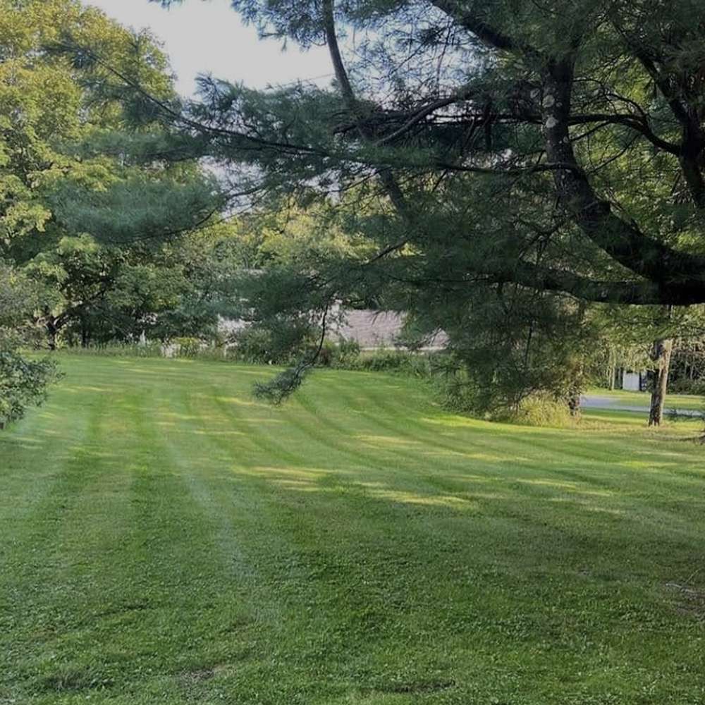 lawn-care-company-utica-min