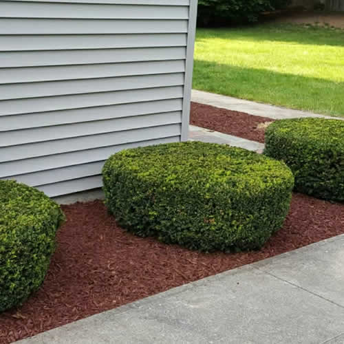 Seasonal Cleanup Services