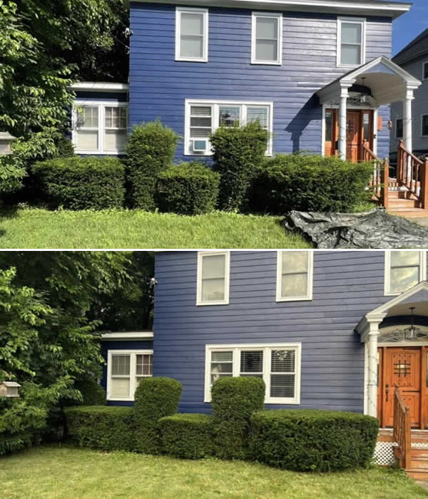 Complete Lawn Care Property Maintenance