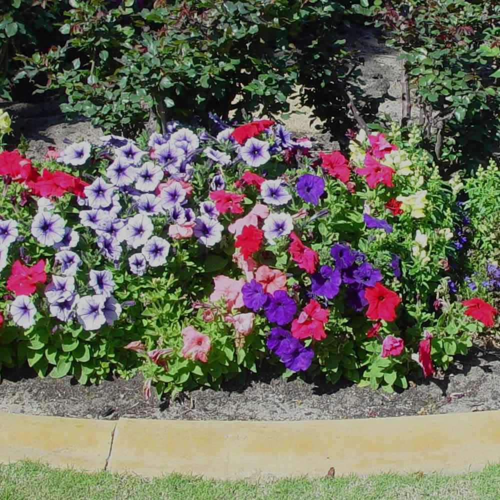 Garden Planting Services Utica