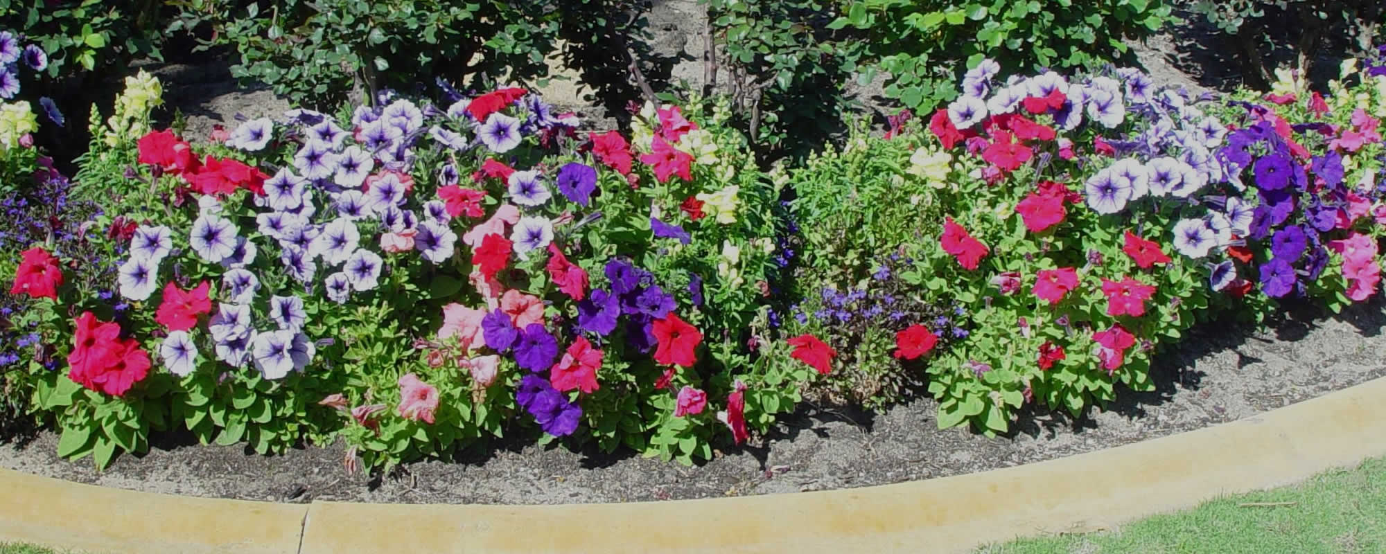 Garden Planting Services Utica
