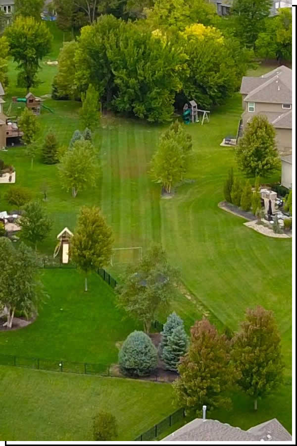 Healthy Lawns with Proper Maintenance