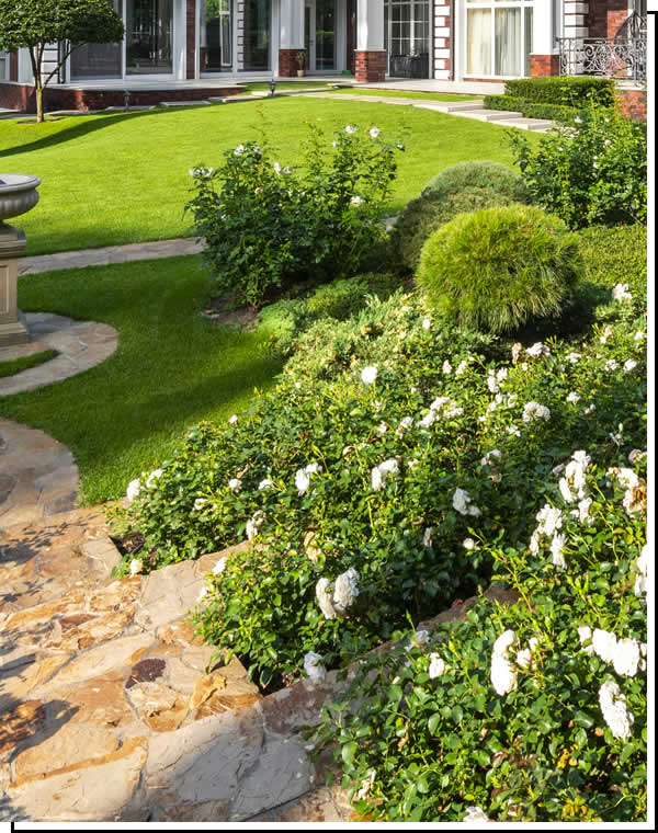 Professional Landscape Planting