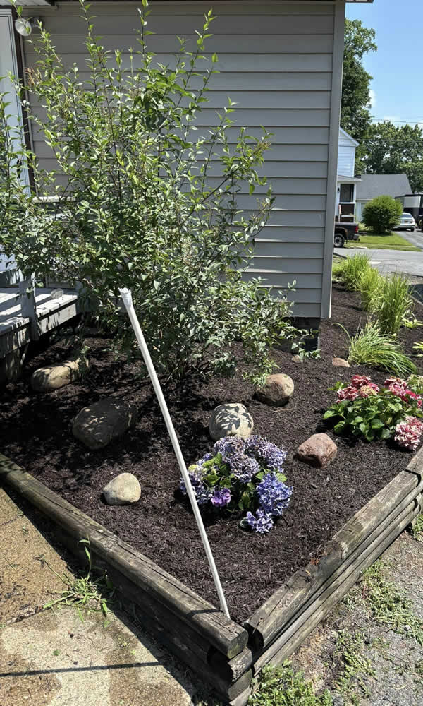 Reliable Garden Planting Services
