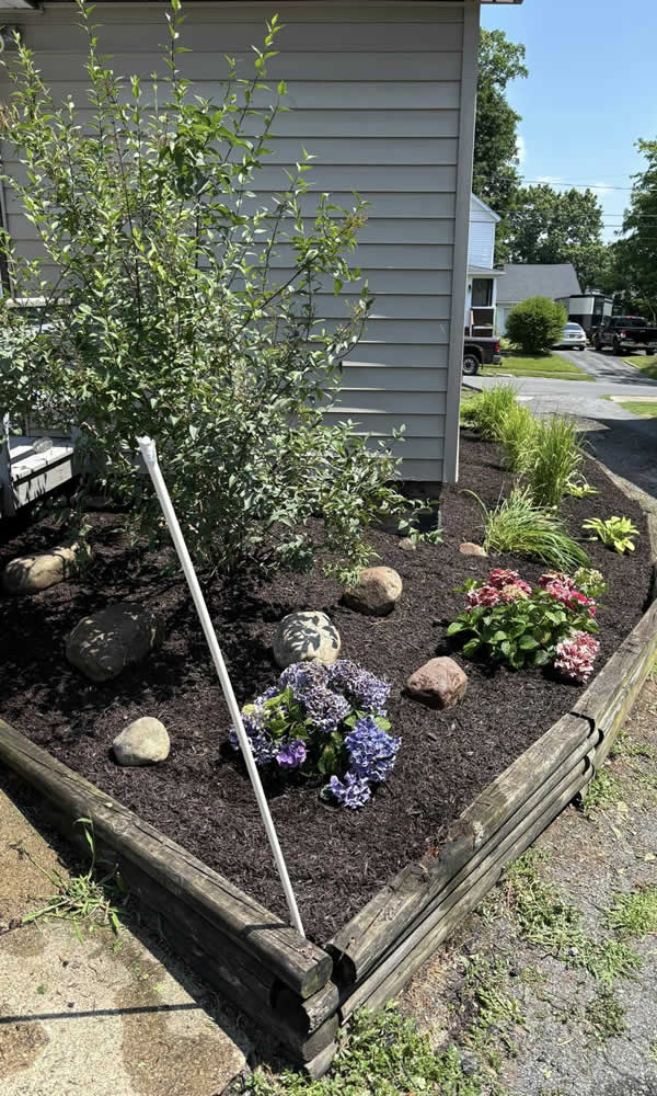 Reliable Lawn Maintenance Services