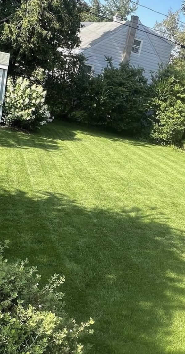 Reliable Lawn Mowing Services