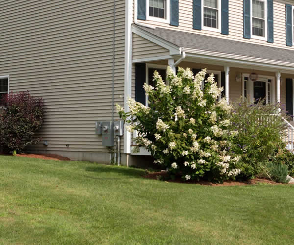 Seasonal Cleanup Services