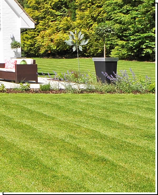 Spring and Fall Yard Cleaning