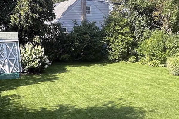 Utica Lawn Mowing Services