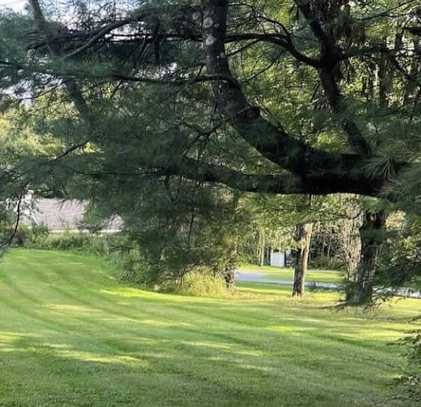 Why Choose Ambrose's Lawn Maintenance