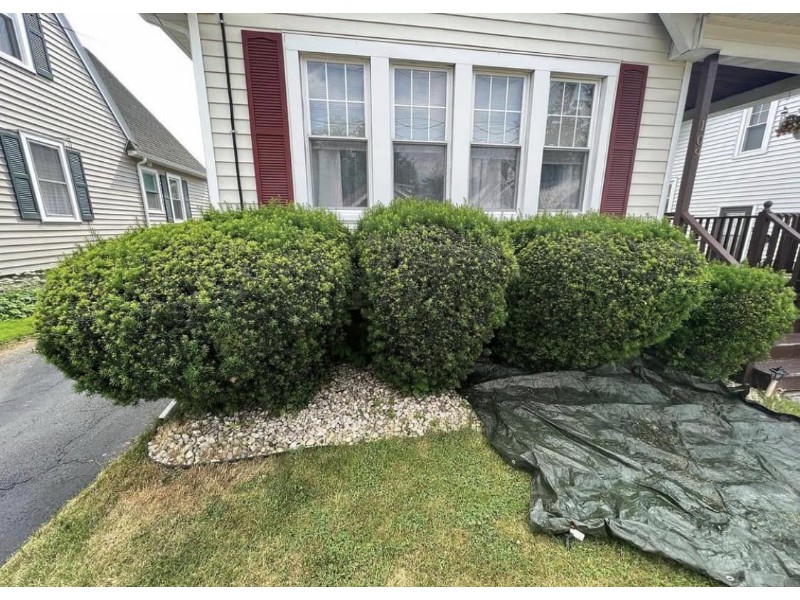 480442331_569594186118597_1536296744090443739_n