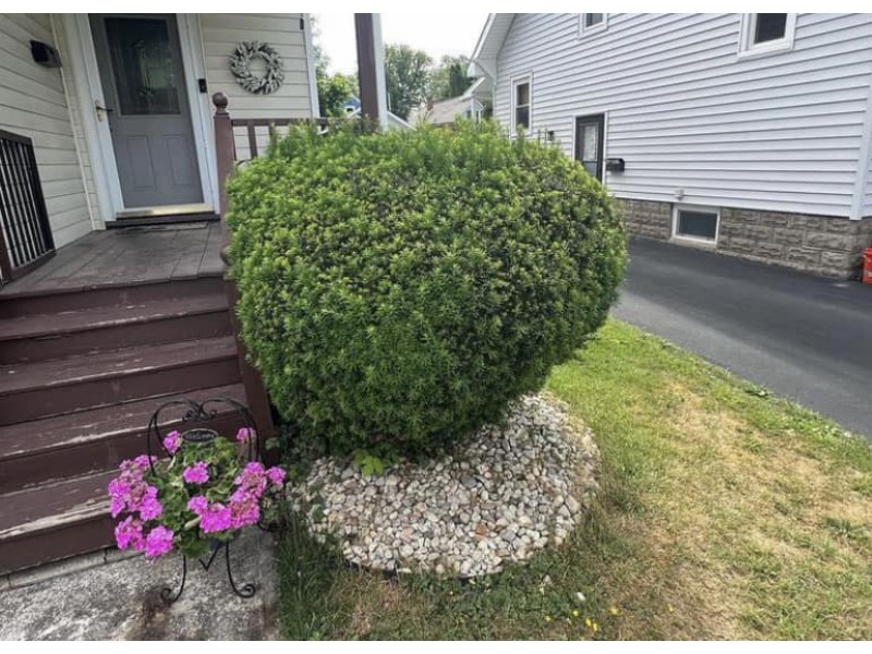 480457396_569594166118599_2047302195226849018_n